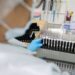 Fiocruz obtém patente para tratamento contra malária resistente