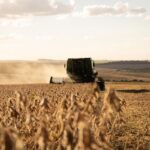 Imea: colheita da soja em MT atinge 99,06%; plantio do milho já está concluído
